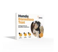 PEZZ Prueba de flora intestinal para perros | Analiza el equilibrio de la microflora intestinal y excluye la disbiosis | Se requiere 1 muestra de heces | Composición de los microorganismos | Envío