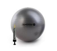 PEZZI Pelota Maxafe de 65 cm, Incluye Bomba Original de Pezziball, Color Negro