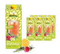 Pfanner Té helado Botanic Tea Frambuesa y Romero Edición Limitada en pack - Té de hierbas refinado con zumo de frambuesa y sabor a romero (6 x 2 l)
