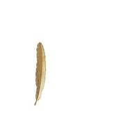 PFCFPNMTGV Armario y mueble de estilo nórdico con tiradores hoja arce latón vintage lujo Tirador de puerta de armario(A-gold-right L)