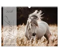 Pferde - Spiegel deiner Seele (Wandkalender 2026 DIN A3 quer), CALVENDO Monatskalender: Lassen Sie sich entführen in die Faszinierende Welt der Pferde