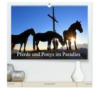 Pferde und Ponys im Paradies (hochwertiger Premium Wandkalender 2026 DIN A2 quer), Kunstdruck in Hochglanz: Pferde und Ponys im Salzburger Land