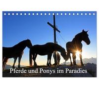 Pferde und Ponys im Paradies (Tischkalender 2026 DIN A5 quer), CALVENDO Monatskalender: Pferde und Ponys im Salzburger Land