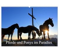 Pferde und Ponys im Paradies (Wandkalender 2026 DIN A2 quer), CALVENDO Monatskalender: Pferde und Ponys im Salzburger Land