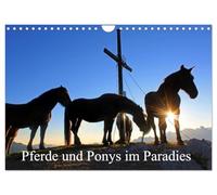 Pferde und Ponys im Paradies (Wandkalender 2026 DIN A4 quer), CALVENDO Monatskalender: Pferde und Ponys im Salzburger Land