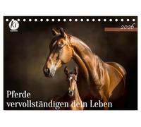 Pferde vervollständigen dein Leben (Tischkalender 2026 DIN A5 quer), CALVENDO Monatskalender: Kluge Worte, betörende Bilder für Pferdeliebhaber und Reiter