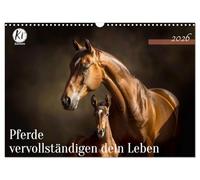Pferde vervollständigen dein Leben (Wandkalender 2026 DIN A3 quer), CALVENDO Monatskalender: Kluge Worte, betörende Bilder für Pferdeliebhaber und Reiter