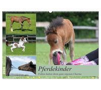 Pferdekinder - Fohlen haben ihren ganz eigenen Charme (Wandkalender 2026 DIN A2 quer), CALVENDO Monatskalender: Fohlen verzaubern jeden der sie sieht - denn jedes hat seinen besonderen Charme.