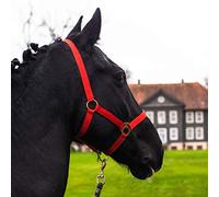 Pferdelinis Cabestro para caballo de sangre caliente, sangre fría, cabestro de establo, cabestro de pasto, 2 posiciones ajustables en la correa de la barbilla y el cuello, seguro y resistente a