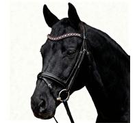 Pferdelinis Correa para la cabeza curvada con cristales brillantes de aspecto plateado - crea un aspecto elegante y glamoroso en el entrenamiento y en el torneo (negro-rosa, sangre caliente (completo