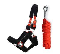 Pferdelinis Líneas de Caballo Cabestro de Caballo y Cuerda Cabestro de Piel con Cuerda de Plomo Caballo Gancho de pánico Cabestro Pony, mazorca, Sangre Caliente, Sangre fría (Pony)