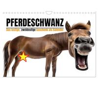 Pferdeschwanz - Das lustige, zweideutige Geschenk als Kalender (Wandkalender 2026 DIN A4 quer), CALVENDO Monatskalender: Zweideutig, doppeldeutig und ... Geschenk und Geschenkkalender zum Lachen.