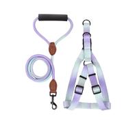 Pffiocix Arnés de pecho para perro con correa, cinturón de pecho para mascotas, chaleco para pasear perros, arnés para actividades al aire libre, colorido