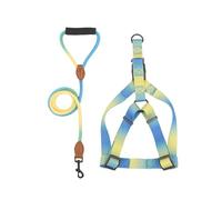 Pffiocix Arnés de pecho para perro con correa, cinturón de pecho para mascotas, chaleco para pasear perros, arnés para actividades al aire libre, colorido