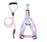 Pffiocix Arnés de pecho para perro con correa, cinturón de pecho para mascotas, chaleco para pasear perros, arnés para actividades al aire libre, colorido