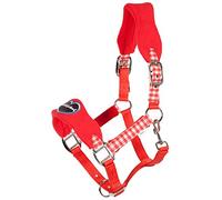 PFIFF 102433-219 - Cabestro de plástico para Caballo (Sangre Completa, M, Color Rojo y Azul