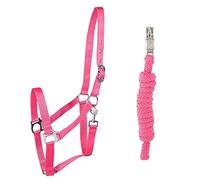 PFIFF 102931 - Juego de Cabestro y Punto (plástico, Color Rosa Completo)