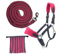 PFIFF 103103 Sunny - Juego de Cabestro (3 Piezas, Tejido y Flecos, Personalizable, Gris-Rosa)