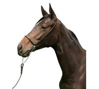 PFIFF Show de vorführ - Cabestro, Negro Full