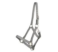 PFIFF Striped - Cabestro, tamaño Sangre Caliente/Complete, Multicolor