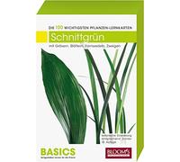 Pflanzen Lernkarten: Die 100 wichtigsten Schnittgrünarten