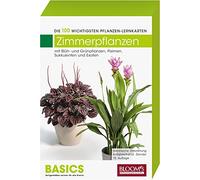 Pflanzen-Lernkarten: Die 100 wichtigsten Zimmerpflanzen