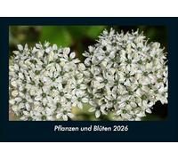 Pflanzen und Blüten 2026 Fotokalender DIN A4: Monatskalender mit Bild-Motiven aus Fauna und Flora, Natur, Blumen und Pflanzen