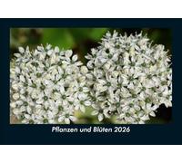 Pflanzen und Blüten 2026 Fotokalender DIN A5: Monatskalender mit Bild-Motiven aus Fauna und Flora, Natur, Blumen und Pflanzen
