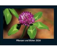 Pflanzen und Blüten 2026 Fotokalender DIN A5: Monatskalender mit Bild-Motiven aus Fauna und Flora, Natur, Blumen und Pflanzen
