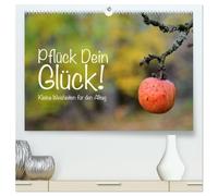 Pflück Dein Glück - Kleine Weisheiten für den Alltag (hochwertiger Premium Wandkalender 2026 DIN A2 quer), Kunstdruck in Hochglanz: Kleine Weisheiten als Lebenshilfe für den Alltag