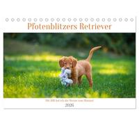 Pfotenblitzers Retriever Mit DIR hol ich die Sterne vom Himmel (Tischkalender 2026 DIN A5 quer), CALVENDO Monatskalender: Sie sind Apportierhunde, ... sie für uns die Sterne vom Himmel holen!