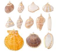 PH PandaHall 12 estilos de abalorios de concha natural, colgantes de concha galvanizada de 0.8 a 2.2 pulgadas, conchas marinas, conchas en espiral, conchas marinas con agujero para joyería de verano
