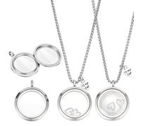 PH PandaHall 2 collares de recuerdo de piel de mascota, acero inoxidable 304, colgantes conmemorativos de pelo de gato, 29,5 mm, joyería de cremación de cristal transparente para cenizas de mascotas