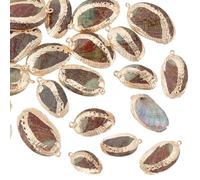 PH PandaHall 20 colgantes de concha de paua natural 20 ~ 35 mm colgantes de concha galvanizados conchas de playa para joyas de verano pulseras joyas bricolaje