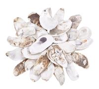 PH PandaHall 30 conchas de ostra para manualidades de 2.7 a 4.7 pulgadas, conchas grandes de ostra, adorno natural de concha marina para manualidades, adornos colgantes, decoración de jarrón, relleno
