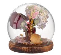 PH PandaHall Cúpula de cristal transparente con pantalla de globo con base de madera, vitrina decorativa para plantas y flores, modelos de piedra y mariposa, 12 x 11,5 cm