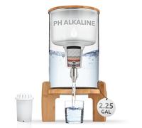 pH RECHARGE Glass Alkaline Water Filter Ionizer - Countertop Water Filter Purifier - Large Alkaline Water Pitcher System - High pH Ionized Water, NEW 2020 MODEL, 2.37 Gallon, 9 Litre
