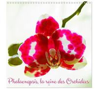 Phalaenopsis, la reine des Orchidées (Calendrier mural carré 2026 30x30 cm) Calendrier double avec une page pour vos prises de notes: Fleurs de Phalaenopsis photographiées en HD