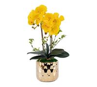 Phalaenopsis - Maceta de cerámica artificial de orquídeas - Arreglo floral sintético para bodas, fiestas, mesa de comedor, decoración del hogar