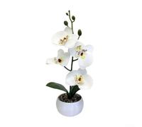 Phalaenopsis - Maceta decorativa impresa en 3D con textura realista para integración de diseño interior moderno (blanco)