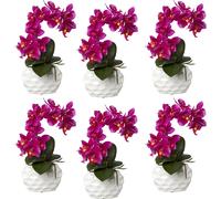 Phalaenopsis, real touch altura 330 mm, UE 6 unid.