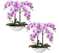 Phalaenopsis, real touch altura 530 mm, UE 2 unid.