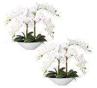Phalaenopsis, real touch altura 530 mm, UE 2 unid.