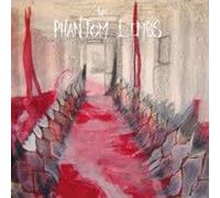 Phantom Limbs - Random Hymns [Import] [Vinilo]