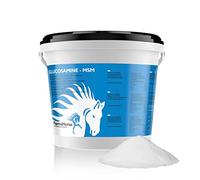 PharmaHorse Glucosamine & MSM | Articulation Cheval | Supplément pour Cheval | Sans sucre ajouté | Sulfate de glucosamine 100% Pur | Sans dopage | 1000 grammes