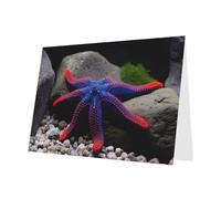 PHAYAH 10 hojas de tarjetas de día festivo de estrella de mar de tentáculo rojo, sobre rosa, adecuadas como tarjetas de invitación de aniversario de boda y fiesta