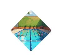 Phayah 4 ambientadores cuadrados para colgar en el coche, diseño de flamenco y piscina, aroma a lavanda, para tableta, armario, zapatos, clóset