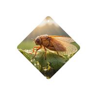 Phayah 4 ambientadores de coche colgantes con diseño de cigarra de rocío, pastillas de aroma de lavanda, fragancia de larga duración, cuadrada