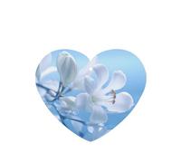 Phayah 4 ambientadores de coche con diseño de flores blancas pequeñas en flor con aroma a lavanda, para colgar en forma de corazón, para tableta, armario, zapatos, clóset