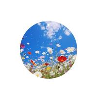 Phayah 4 ambientadores de coche con diseño de flores de nube blanca con aroma a lavanda, forma redonda, para colgar, para tableta, armario, zapatos, clóset